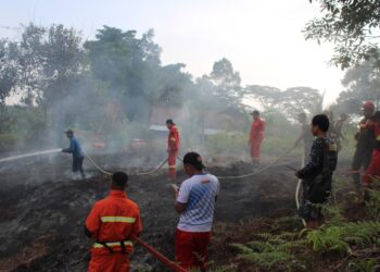Sinergi Yonif TP 833/BD, KPH, Manggala Agni, dan Damkar Padamkan Karhutla Sanggau