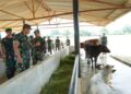 Pangdam I/BB Tinjau Marshalling Area Yonif TP 902/SPG, Tekankan Disiplin dan Kesiapan Prajurit