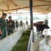 Pangdam I/BB Tinjau Marshalling Area Yonif TP 902/SPG, Tekankan Disiplin dan Kesiapan Prajurit