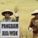 Panen Raya Padi Serentak, Pangdam XIII/Merdeka Tegaskan Komitmen TNI Perkuat Ketahanan Pangan Nasional