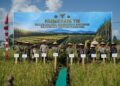 Sinergi TNI dan Petani: Pangdam XII/Tpr Laksanakan Panen Raya Padi Dukung Ketahanan Pangan Nasional