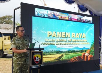 Dukung Swasembada Pangan Nasional, Pangdam IX/Udayana Pimpin Panen Raya TNI di Tabanan
