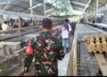 Babinsa Koramil 14 / PB.Komsos memberikan motivasi Dengan Peternak Telur Ayam di Wilayah Binaan