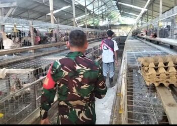 Babinsa Koramil 14 / PB.Komsos memberikan motivasi Dengan Peternak Telur Ayam di Wilayah Binaan