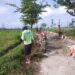 Lancar Akses Pertanian, Kopka Budi Bersama Warga Bersihkan Area Jalan Persawahan Tambakan