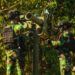 Yonarhanud 16 Kostrad Asah Kesiapan Tempur Melalui UST Tingkat Peleton