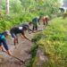 Bersatu dengan Alam, Serda Dwi Aprianto Bersama Warga Slorok Bersihkan Aliran Irigasi Sawah
