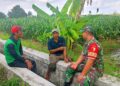 Kapenrem 081/DSJ: Pendampingan Babinsa Bentuk Kepedulian TNI AD