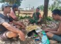 Komsos Dengan Petani Babinsa Berikan Motivasi Meningkatkan Produksi Serta Kualitas Tanaman