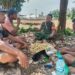 Komsos Dengan Petani Babinsa Berikan Motivasi Meningkatkan Produksi Serta Kualitas Tanaman