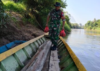 Sinergi Tanpa Batas Karbak Skala, Besar Kodim 1209/Bengkayang Dorong Material Tembus Perbatasan demi Pendidikan