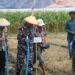 Puslatpumar 7 Lampon Dukung Program Ketahanan Pangan Nasional Melalui Penanaman Kedelai Di Banyuwangi