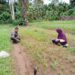 Babinsa Motivasi Emak-emak di Susoh Kembangkan Budidaya Kangkung