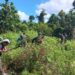 Babinsa Koramil Mapurujaya Bersama Warga Bersihkan TPU Kampung Hiripau
