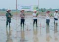 Danramil 21/Madat dan Muspika Tanam Padi Perdana, Perkuat Sinergi Menuju Ketahanan Pangan