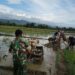 Dukung Program Ketahanan Pangan Nasional, Babinsa di Susoh Turun Sawah Bantu Petani Pembajakan