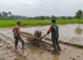 Sertu Cahyono Turun ke Kebun, Bantu Petani Panen Mentimun di Darul Aman