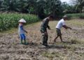 Ketahanan Pangan Dimulai dari Lahan, Babinsa Tanah Jawa Dampingi Petani Bahjambi II