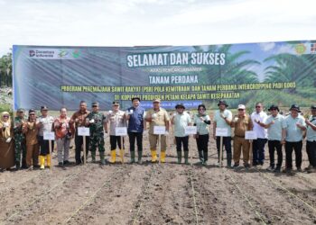 Dandim 0208/Asahan Bersama Bupati Asahan Hadiri Penanaman Perdana Kelapa Sawit PSR dan Intercropping Padi Gogo