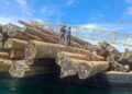 TNI AL GAGALKAN DUGAAN PELANGGARAN PENGANGKUTAN KAYU LOG ILEGAL DI PERAIRAN TELUK BERAU
