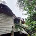 Babinsa Koramil 01/Pariaman Sigap Tinjau Lokasi Pohon Tumbang yang Timpa Rumah Warga