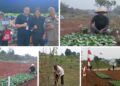 Satpol PP Bojonggede Rawat Pohon di Jalur Bomang, Gerakan Peduli Lingkungan Udara Sehat 