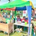 Babinsa Koramil 0201-16/TM Monitor Pertandingan Persahabatan Antar Dusun Meriahkan HUT ke-81 Kemerdekaan RI