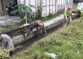 Perlancar Pasokan Air Sawah, Kopka Slamet Prasetiyo Bersama Poktan Rukun Makmur 1 Bersihkan Parit Irigasi