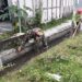 Perlancar Pasokan Air Sawah, Kopka Slamet Prasetiyo Bersama Poktan Rukun Makmur 1 Bersihkan Parit Irigasi
