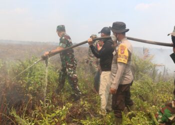 Dandim 1203/Ketapang Pimpin Langsung Pemadaman Karhutla di Sungai Pelang
