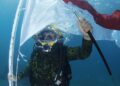 TNI AL KIBARKAN MERAH PUTIH DI BAWAH LAUT DALAM RANGKA HUT PENYELAM TNI AL KE-74