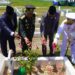 Komandan Kodaeral XI Pimpin Ziarah Nasional HUT RI Ke-81 di TMP Trikora Merauke