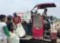 Dukung Ketahanan Pangan, Babinsa Koramil 02/TL Dampingi Panen Padi IR 32 di Lahan 600 Hektare Kualuh Hilir