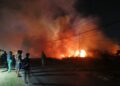 PMK Kodaeral XI Padamkan Kebakaran Lahan di Jalan Naori, Cegah Api Merembet ke Permukiman