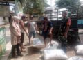 Dukung Ketahanan Pangan, Koramil 08/RP Dampingi Panen Tiga Ton Kelompok Tani Sukses Jaya
