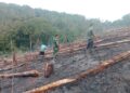 Peduli Wilayah,Babinsa Serda Irham Melaksanakan Pengecekan Situasi Karhutla di Palas