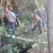Bahu Jalan Dipenuhi Semak, Koramil 02/ST Turun Bersihkan Bersama Warga