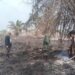 Gerak Cepat di Pesisir, Babinsa Koramil 03/SB Bahu-Membahu Padamkan Kebakaran Lahan di Sei Sanggul