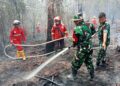 Karhutla di Wilayah Koramil 416-06/MB Berhasil Dipadamkan, Situasi Aman dan Kondusif