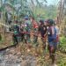 Gerak Cepat TNI dan Warga Padamkan Kebakaran Lahan di Momiwaren