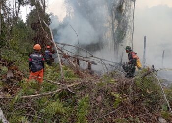 Koramil 1204-01/Kapuas Padamkan 17 Titik Karhutla, Luas Lahan Terbakar Capai 8,8 Hektare