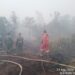 Dikepung Api dan Asap, Babinsa Pantang Mundur Padamkan Karhutla di Singkawang Timur