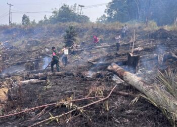 Koramil 1204-05/Noyan Padamkan Karhutla di Desa Semongan, Luas Lahan Terbakar 0,3 Hektare