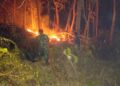 Babinsa Bersama Yon TP dan Warga Padamkan Kebakaran Lahan di Gunung Krandegan