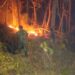 Babinsa Bersama Yon TP dan Warga Padamkan Kebakaran Lahan di Gunung Krandegan