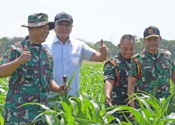Dankolatmar Tinjau Lahan Ketahanan Pangan Kolatmar di Rahlat Grati