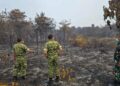 Brigjen TNI Zamroni Tinjau Lokasi Karhutla Desa Balai Agung Sintang, Pastikan Api Padam