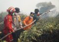 Danrem 042/Gapu Dampingi Gubernur dan Kapolda Jambi Padamkan Karhutla di Tanjab Timur