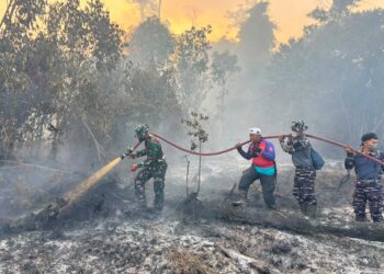 TNI AL BERSAMA TIM SATGAS GABUNGAN PADAMKAN KEBAKARAN HUTAN DAN LAHAN DI KOTAWARINGIN BARAT
