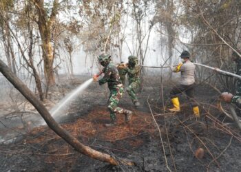 Dandim 1204/Sanggau Pimpin Langsung Penanggulangan Karhutla di Dusun Bali